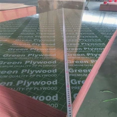 PP Film Faced Krossviður